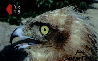 Birds Of Pray - Oiseaux - Bird – Oiseau - Eagle – Aigle - Adler – Eagles - Aquila – Vulture - Steppe Eagle 1 - Aquile & Rapaci Diurni