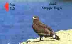 Birds Of Pray - Oiseaux - Bird – Oiseau - Eagle – Aigle - Adler – Eagles - Aquila – Vulture - Steppe Eagle - Arenden & Roofvogels