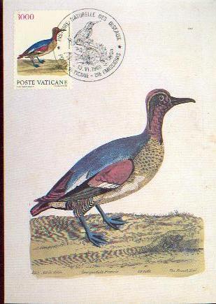 VATICAN CARTE MAXIMUM NUM.YVERT 859   HISTOIRE NATURELLE DES OISEAUX DE ELEAZAR MARTIN - Cartoline Maximum