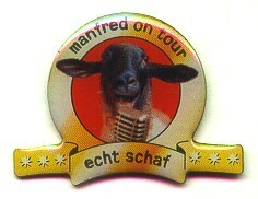 Schaap, Sheep, Schaf, Mouton. Animal. - Dieren