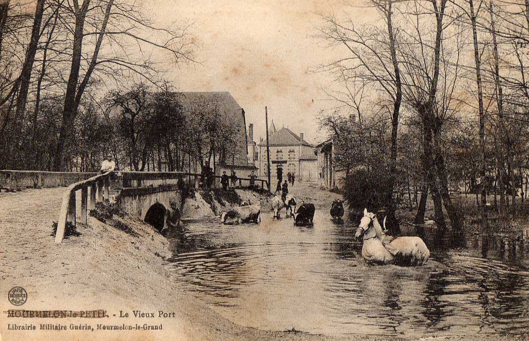 51 MOURMELON LE PETIT Vieux Port, Abreuvoir, Animée, Troupeau Vaches, Ed Guérin, 1917 - Mourmelon Le Grand