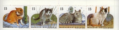 THEMATIQUE MAMMIFERES/CHATS - BELGIQUE 1993 Carnet Y/T C2521 ** - Domestic Cats