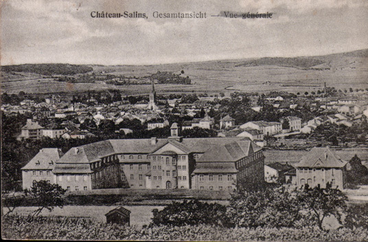 Lot 175: CP De Château-Salins Avec Oblitération De Vic Du 10.03.1915 Et Cachet De Censure De Metz - Sonstige & Ohne Zuordnung
