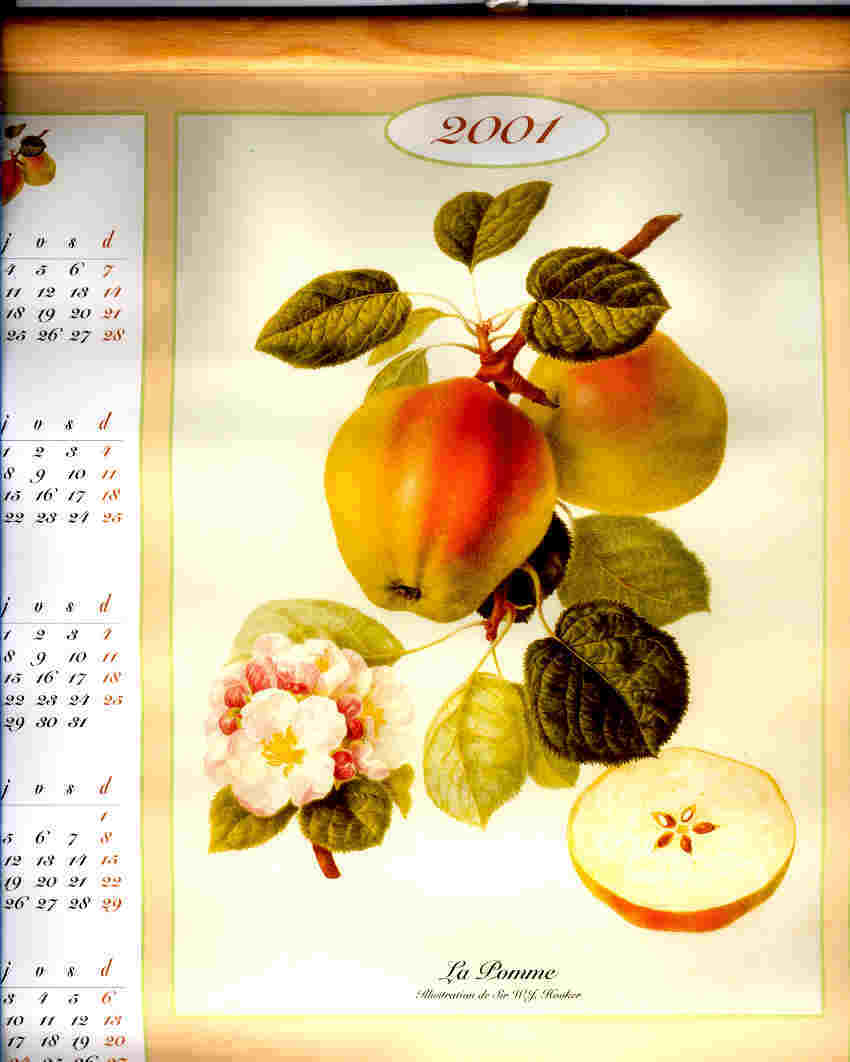 Calendrier ( 2001 ) Roulé à Suspendre Avec Baguettes De Bois  ( La Pomme - Pub Pharmacie ) - Other & Unclassified