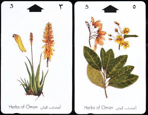 (2) Herbs Of Oman - Oman