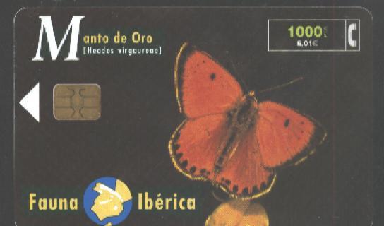 BUTTERFLY - SPAIN - MANTO DE ORO - Schmetterlinge