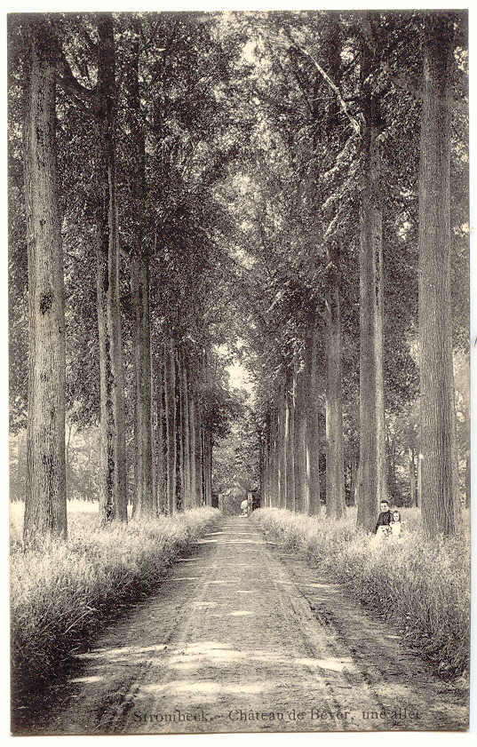 3512 - STROMBEEK - Château De Beyer, Une Allée        - Edit. Vve Blanpain - Grimbergen