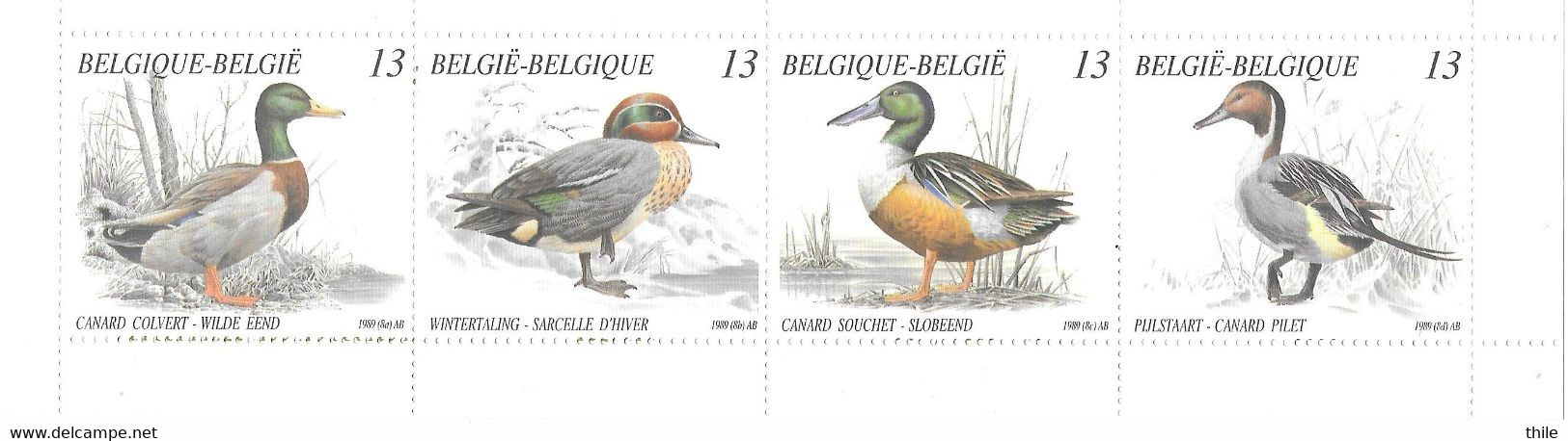 BELGIUM - COB 19 ** - Carnet Canards - Canards