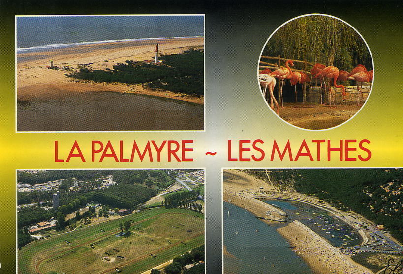 LA PALMYRE - LES MATHES    -    Le  PHARE De La COUBRE, Le ZOO, L'HIPPODROME Et Le PORT - Les Mathes