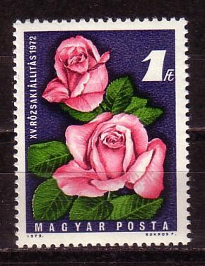 HUNGRIE - 1972 Roses 1v  MNH - Rosen