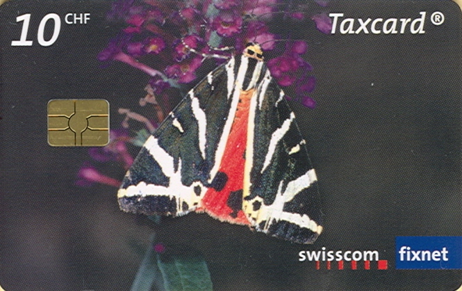 BUTTERFLY ( Switzerland ) * Papillon Butterflies Papillons Mariposa Farfalla Bear Panda Logo World Wide Fund WWF - Mariposas