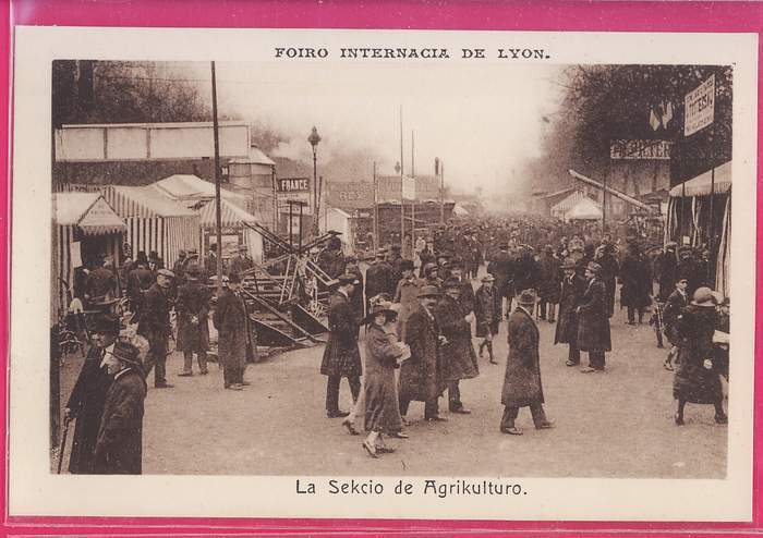 056-ESPERANTO - Foire Internationale De Lyon  Section Agricole - Esperanto