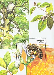 2004 BELARUS Bees, Wasps, Bumblebees 2V+S/S - Abeilles