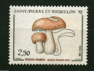 St Pierre Et Miquelon . **  N° 486 - Champignon - Autres & Non Classés