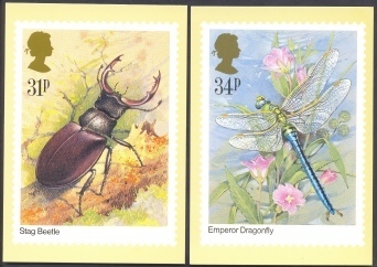 Set Of 5 Insects - Bugs And Beetles - Insects