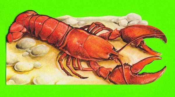 HOMARD DES PLUS ORIGINAL - DIMENSION 22 Cm X 10 Cm - ÉCRITE EN 1983 - Fish & Shellfish