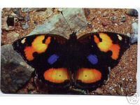 Télécarte Papillon Coloré - Sultanat D'Oman - En Parfait état - Déjà Utilisée - Ref 9303 - Papillons