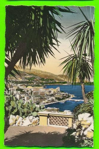 MONTE-CARLO,MONACO - VUE PRISE DU JARDIN EXOTIQUE - VOYAGÉE EN 1964 - - Jardin Exotique