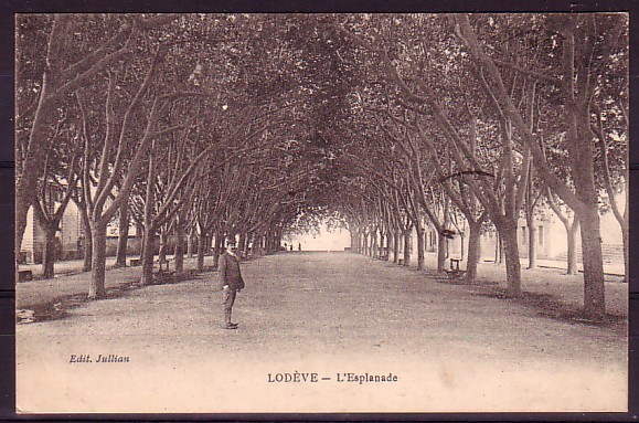 HERAULT - Lodeve - L'esplanade - Lodeve