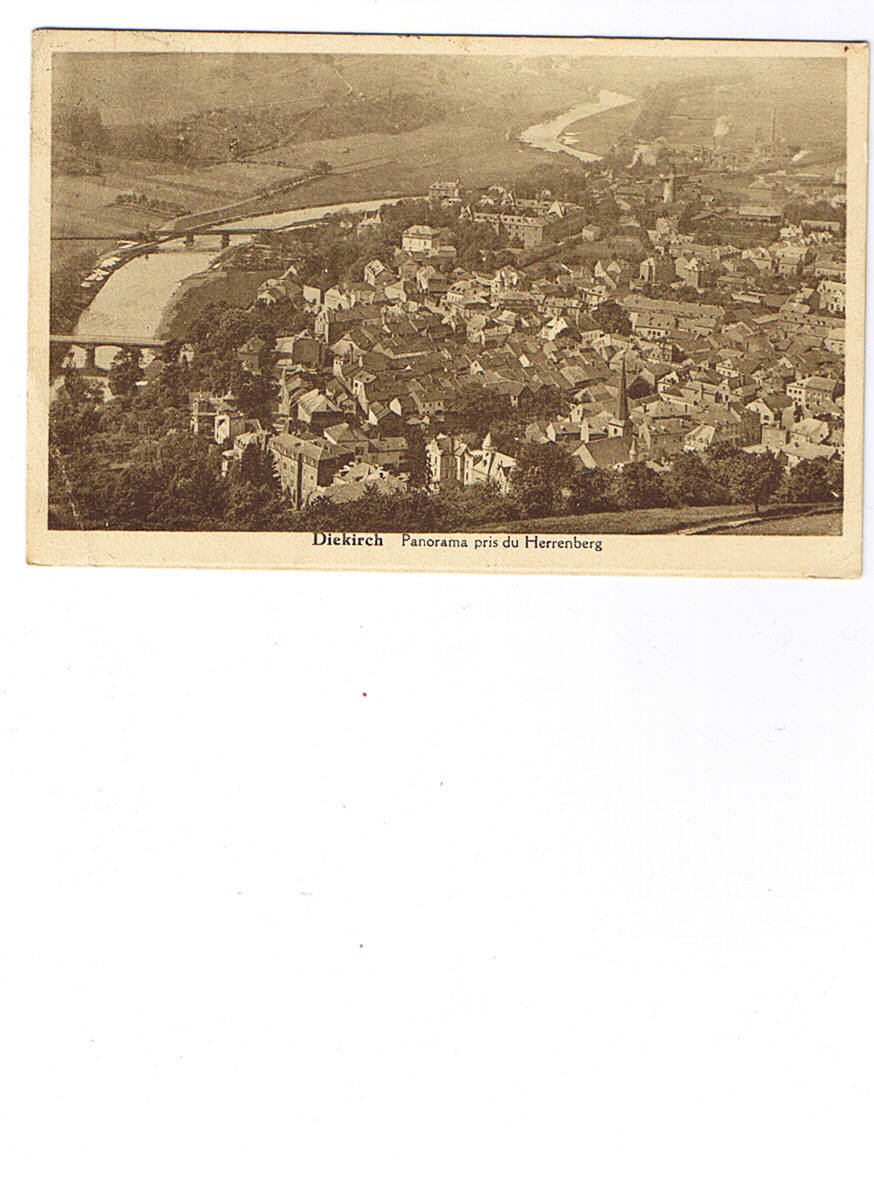 LUXEMBOURG   DIEKIRCH    Panorama     Carte Circulée - Diekirch