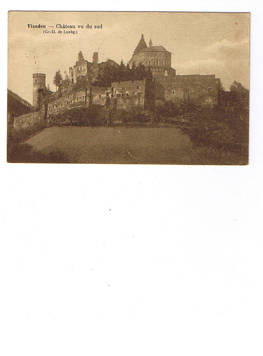 LUXEMBOURG   VIANDEN   Chateau Vu Du Sud   Carte Circulée - Vianden