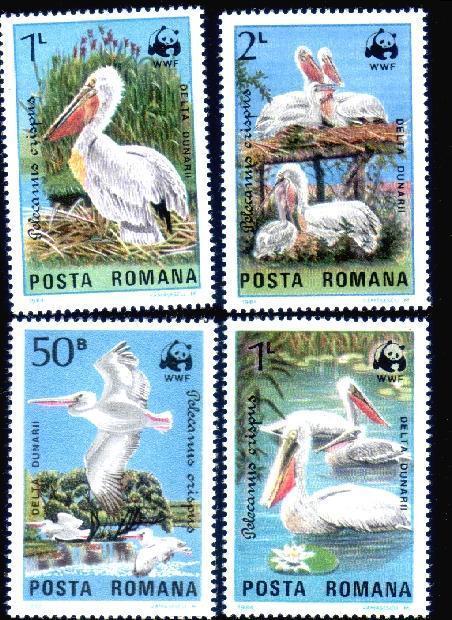 Romania Birds 1984  WWF. - Pelícanos