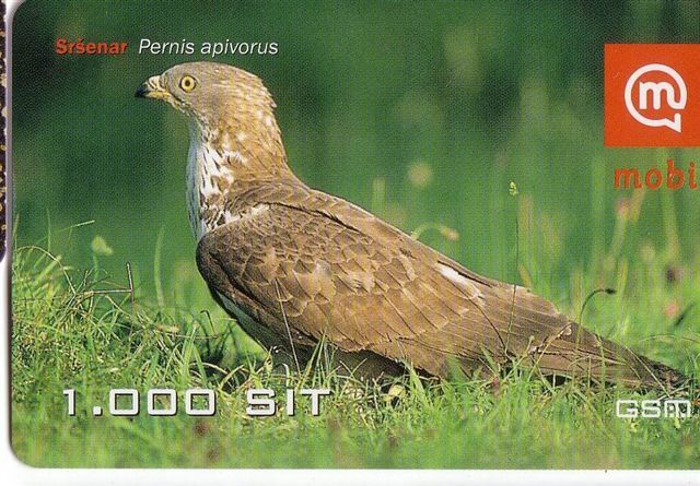 Slovenia Birds - Eagle - Falcon - Bird - Falcons - Eagles - Faucon - Eagle - Pernis Apivorus ( Little Bend , Paper Card) - Adler & Greifvögel