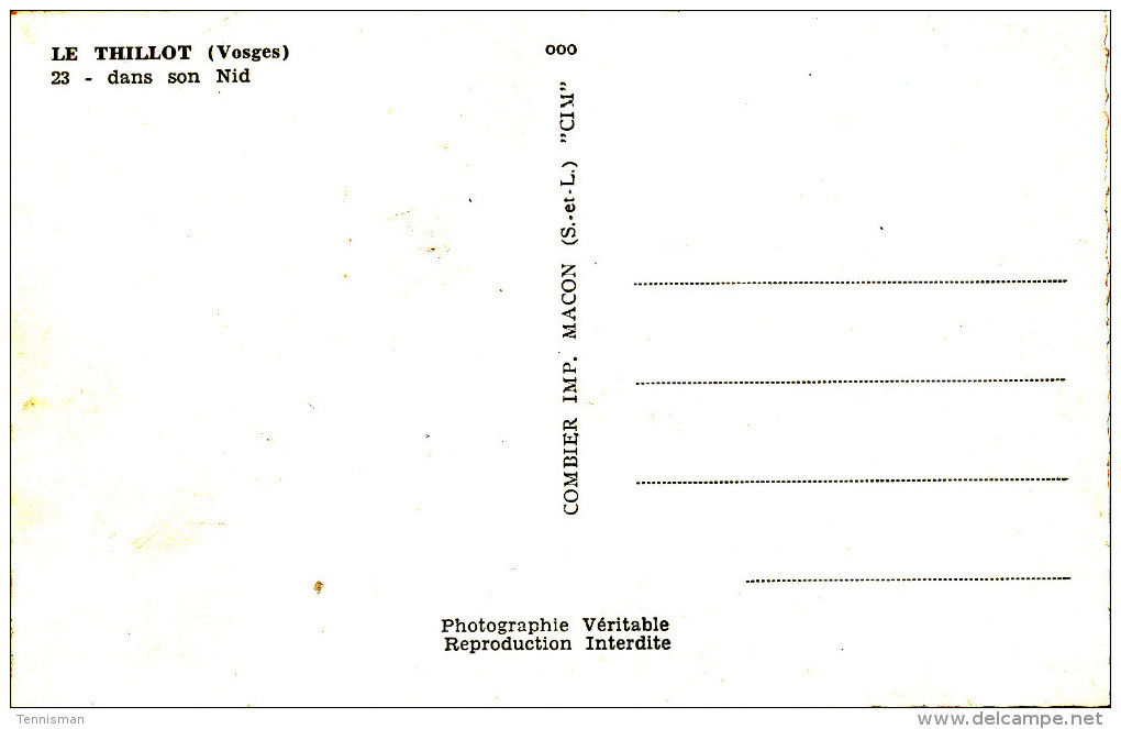 LE THILLOT  Dans Son Nid - Le Thillot