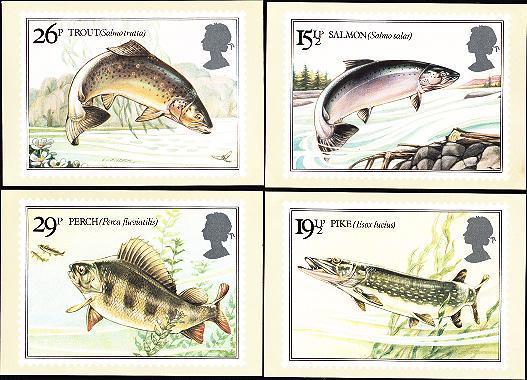 (4) British River Fishes - Fische Und Schaltiere