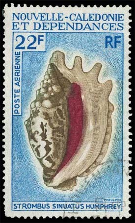 Nouvelle Calédonie (Y/T No, PA-113 - Coquillage) (o) - Used Stamps