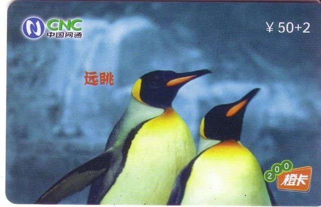 Bird - Oiseaux - Birds - Oiseau - Manchot - Pingouin – Penguin - Penguins - Pingouins -  Pinguin - Pinguine – # 1. - Pinguïns & Vetganzen