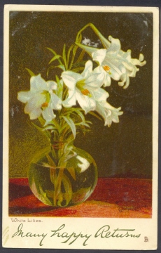 Tuck: White Lillies - Artist Signed Bertha Maquire - Tuck, Raphael