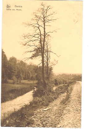 BELGIQUE BERTRIX - Bertrix