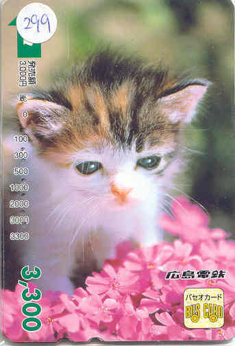 Kat Cat Katze Chat Op Metro Kaart (299) - Chats