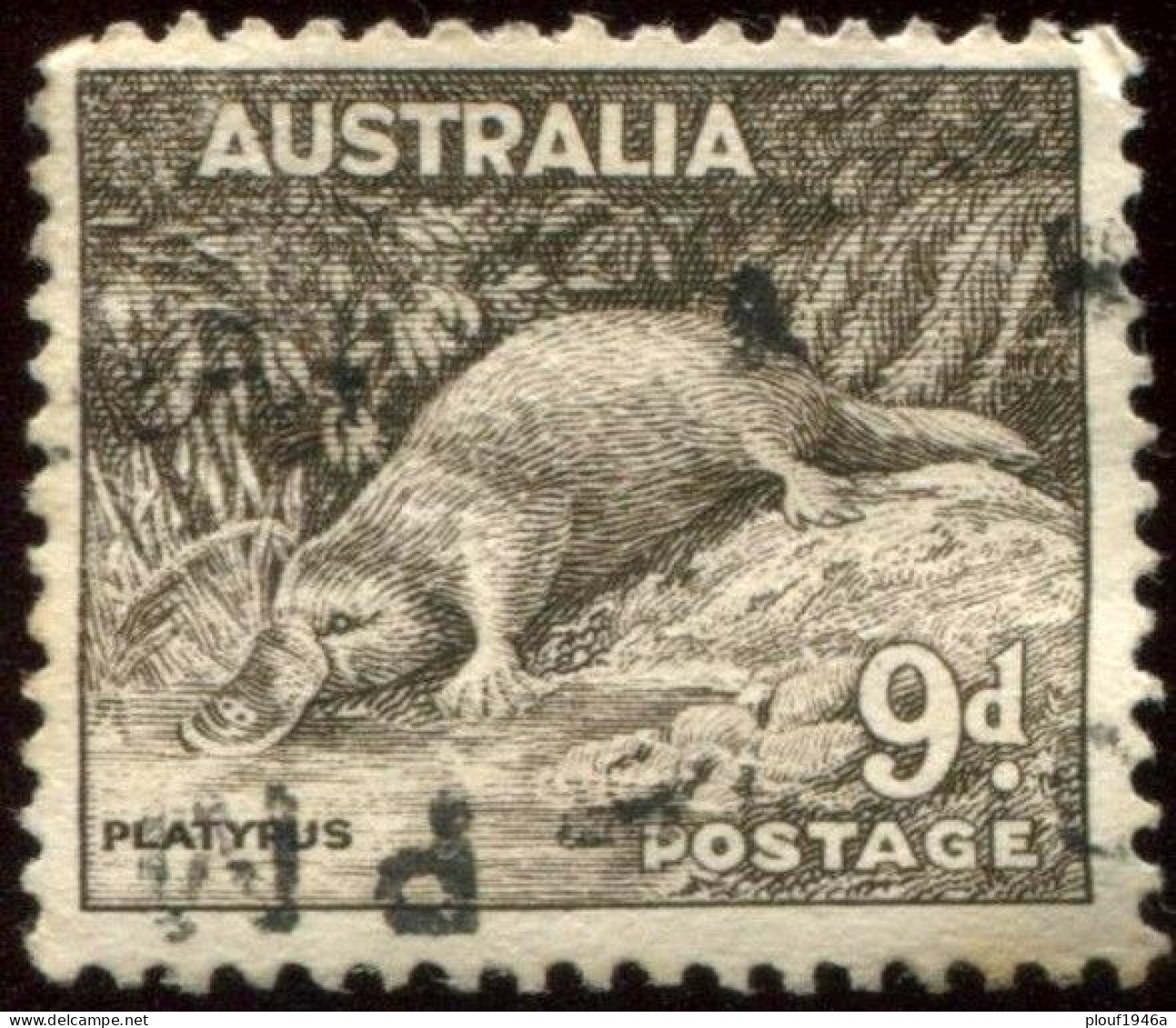 Pays :  46 (Australie : Confédération)      Yvert Et Tellier N° :  117 (A) (o) - Used Stamps