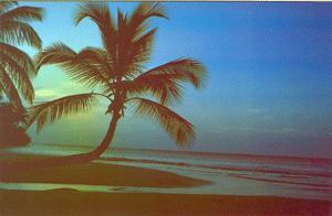 Playa De Portillo Republic Dominicaine - Dominikanische Rep.