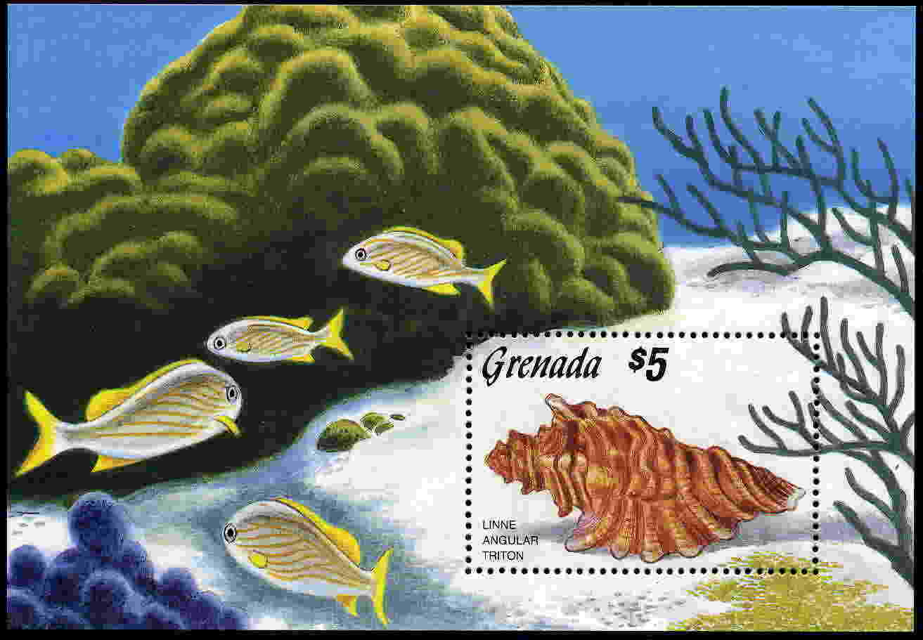 Grenada 1986 Shell S/S MNH - Schelpen