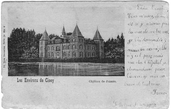 Les Environs De Ciney    Chateau De Jannée - Ciney