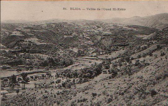 Carte Postale Ancienne De BLIDA : Vallée De L´Oued El Kébir. - Blida