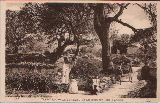 Carte Postale Ancienne De TLEMCEN : Le Tombeau Et Le Bois De Sidi-Yacoub. - Tlemcen