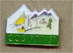 PIN'S PTT LA POSTE COS 51 (10019) - Postwesen