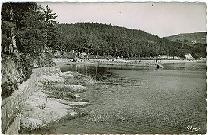 Saint-Ferréol - La Plage Sur Le Bassin - Saint Ferreol