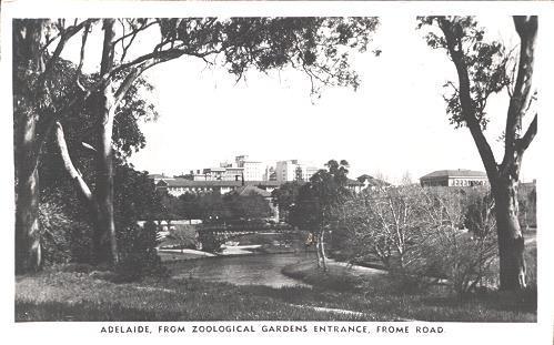 View From Zoological Gardens Entrance, Frome Road, Adelaide, Australia - Real Photo - Altri & Non Classificati