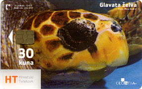 GLAVATA ZELVA (Croatie Transparent Card) Sea Turtle Tortue De Mer Schildkröte Tortuga Marina Tartaruga Tartarughe Marine - Schildpadden
