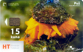 TRANSPARENT Card PUZ ( Croatia ) - See Snail - Escargot - Coquille D'escargot - Schneckenhäuser - Caracol - Chiocciola * - Kroatien