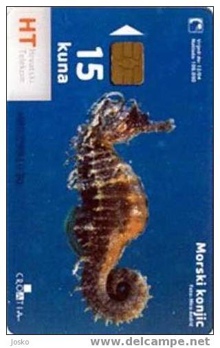 TRANSPARENT Card MORSKI KONJIC ( Croatia ) Seahorse - Hippocampe - Seepferdchen - Caballito De Mar - Cavalluccio Marino* - Peces