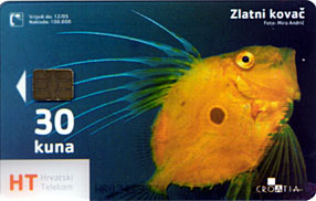 TRANSPARENT Card ZLATNI KOVAC ( Croatia ) - Underwater - Fish - Poisson - Fisch - Pez - Pesci - Transparente - Kova&#269 - Kroatië