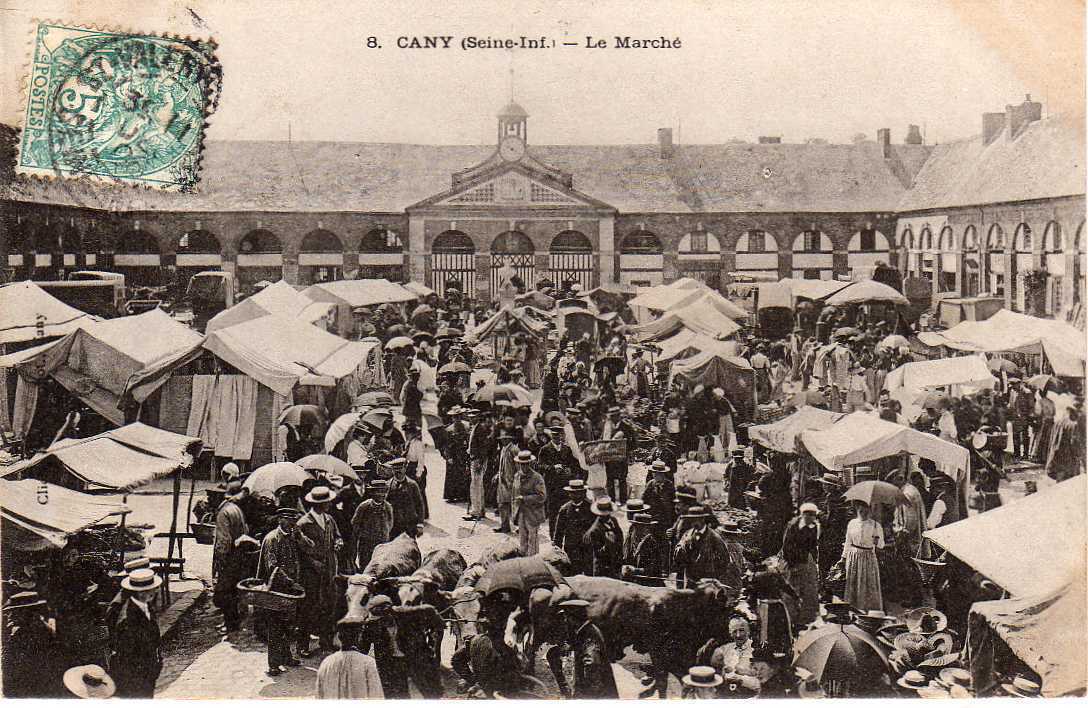 76 CANY BARVILLE Marché, Foire, Trés Animée, Beau Plan, Ed ?? 8, 1906 - Cany Barville