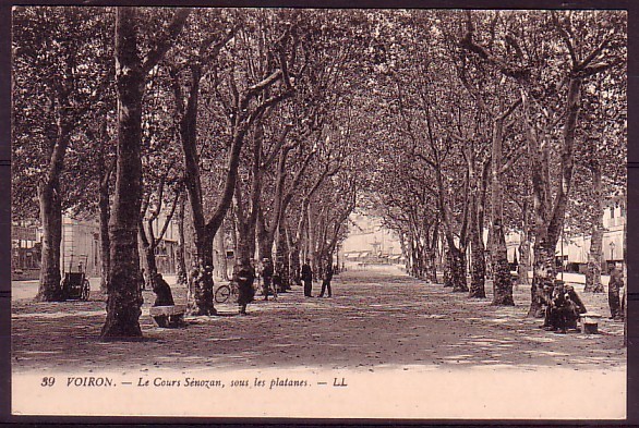 ISERE - Voiron - Cours Senozan, Sous Les Platanes - Voiron