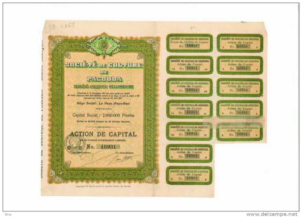 Société De Culture De Pacouda. Société Anonyme Hollandaise 1911 - Agricultura